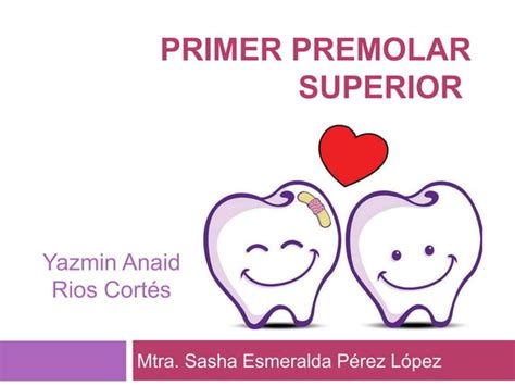 Primer Premolar Superior Ppt