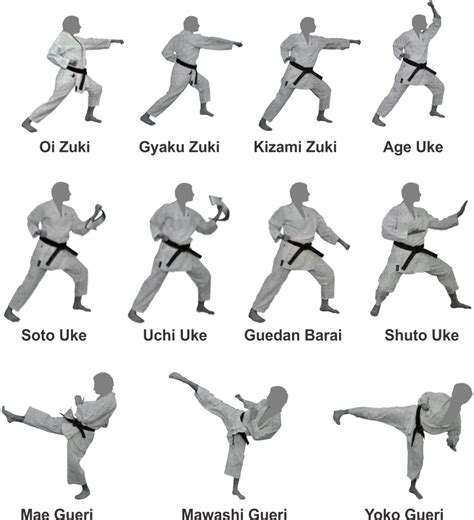 kihon karate shotokan