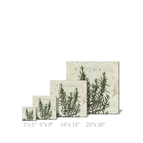 Darren Gygi Home Collection Rosemary Giclee Wall Art On Canvas By Darren Gygi Print Wayfair