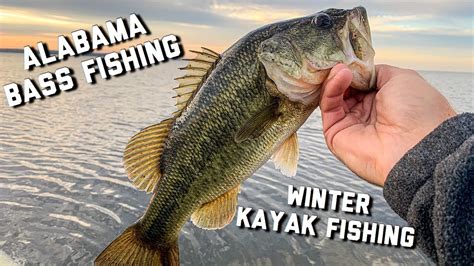 Topwater Largemouth Bass Fishing Winter Kayak Bass Fishing Youtube