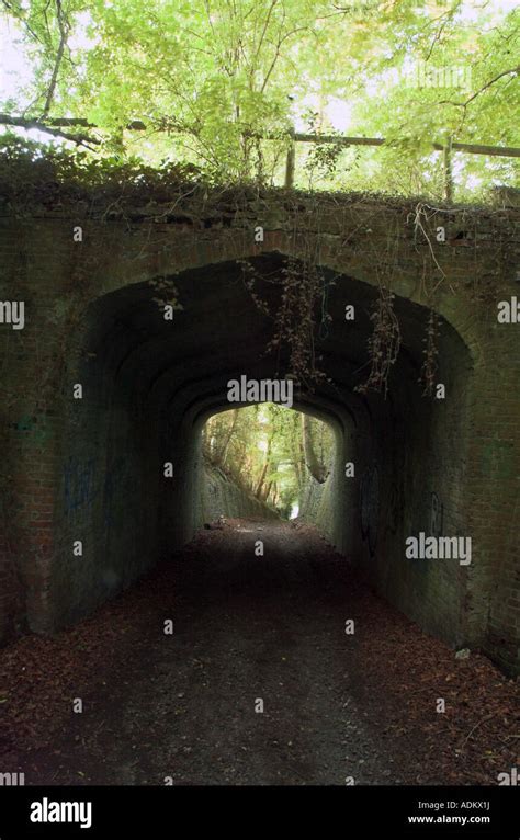 Spooky Lane Stock Photo Alamy