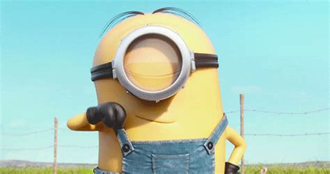 Despicable Me Minions  Find And Share On Giphy