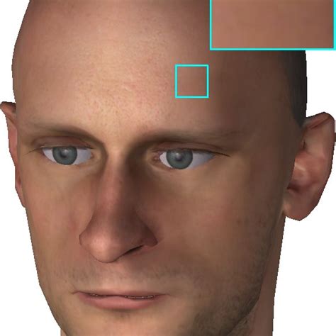 Construction Of An Animatable Model From Artificial Head Geometry