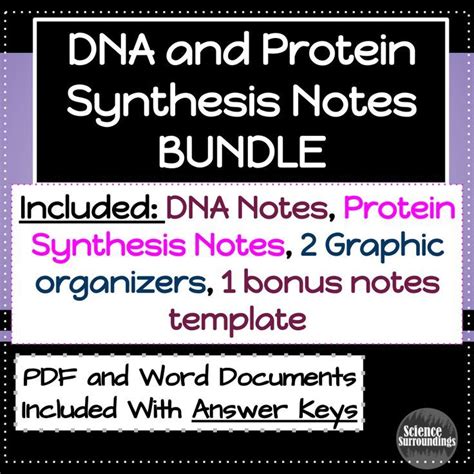 DNA DNA Replication And Protein Synthesis Activities Practice And