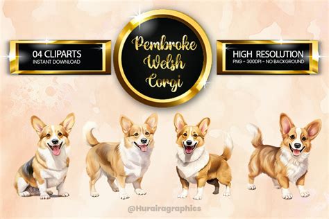 Pembroke Welsh Corgi Clipart Bundle Gráfico por Hurairagraphics