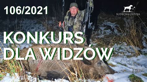 SUDECKA OSTOJA 106 2021 Polowanie Na Dziki Wildboars Hunt Hunting In