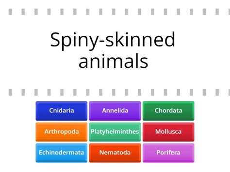 Nine Major Phyla Major Characteristic Find The Match