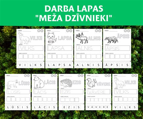 Darba Lapas Meža Dzīvnieki Mācību Materiāli
