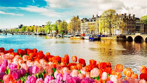 Amsterdam Holidays 2023 From 182 Loveholidays