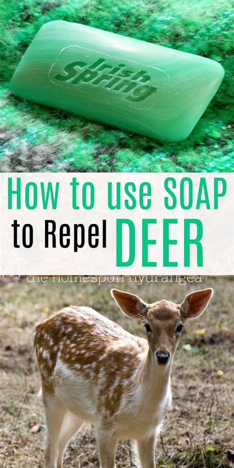 How to repel deer with irish spring soap – Artofit