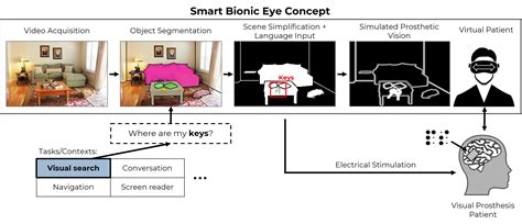 Towards A Smart Bionic Eye Bionic Vision Lab