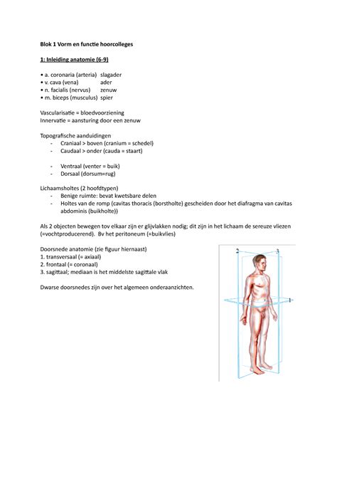 Blok Vorm En Functie Hoorcolleges Blok Vorm En Functie