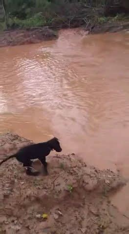 Fazenda Na Regi O De Santa F De Minas Desenvolvimento De Lavoura