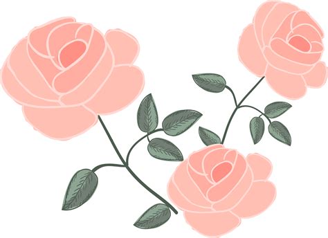 Rose Flower Euclidean Vector Drawing Shabby Chic Floral Vector Free Full Size Png Clipart