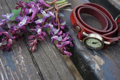 Images Gratuites Regarder La Nature Herbe De Plein Air Plante