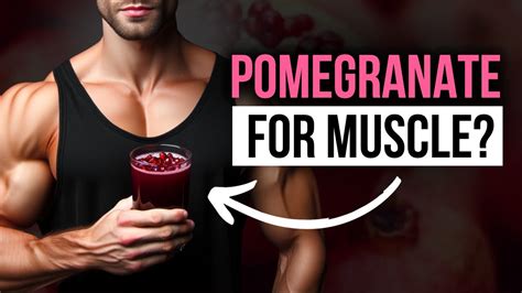 Does Pomegranate Increase Testosterone Youtube