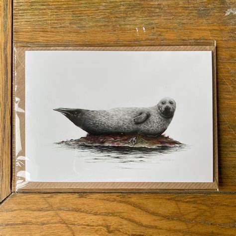 Seal banana Pose Blank Greetings Card Coastal Cornwall - Etsy