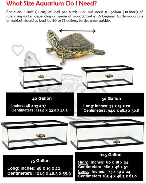 Aquarium size, identifying the aquarium sizes | Aquatic turtles, Turtle ...