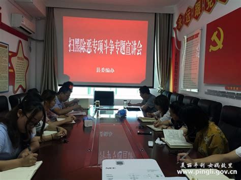 县委编办召开扫黑除恶专项斗争专题宣讲会 平利县人民政府