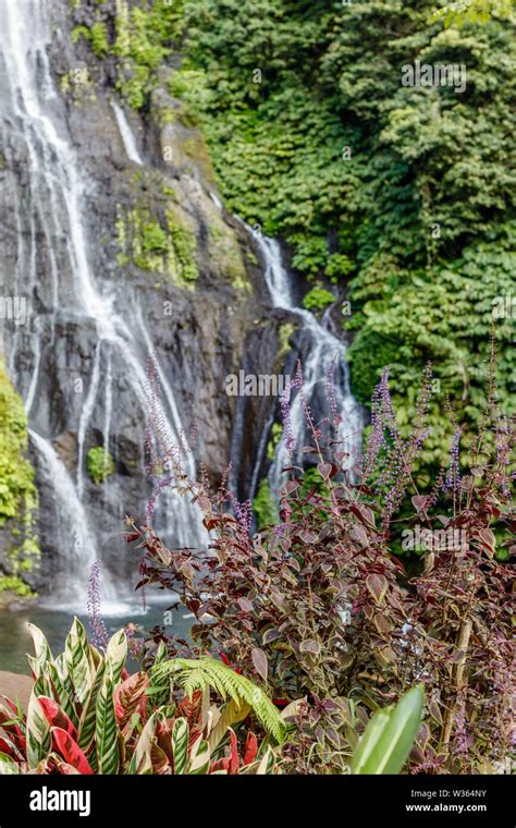 Banyumala Twin Waterfalls. Buleleng, Bali, Indonesia Stock Photo - Alamy