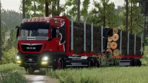 LS22 MAN TGX Wald Spezial v 2 0 0 0 LKWs Mod für Landwirtschafts