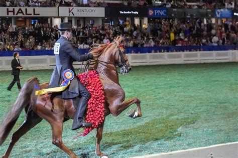 Kentucky State Fair 2019 World Championship Horse Show Shows Style