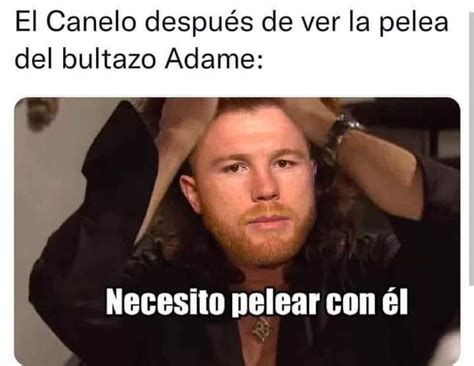 Estallan Los Memes De Alfredo Adame Tras Pelea De Canelo Lvarez Aqu