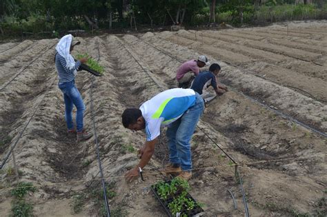 Agricultura familiar es clave para erradicar el hambre según la FAO