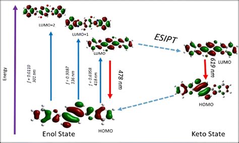 Excited State Intramolecular Proton Transfer Esipt Pathway In