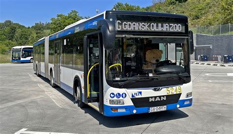 Autobusem z Gdyni do zoo Meleks w Orłowie i zabytkowe trolejbusy