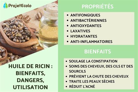 Huile De Ricin Bienfaits Dangers Utilisation Guide Complet