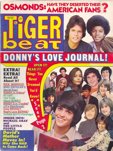 Tigerbeatfeb1973 Bionic Disco