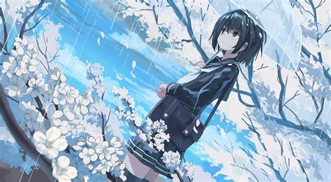 Rainy Cherry Blossoms Anime Hd Wallpaper