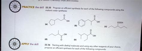 SOLVED Text Enol No Chocolates PRACTICE The Skill 22 35 Propose