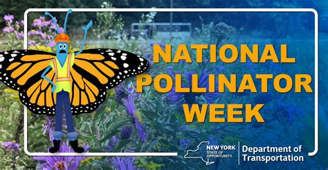 Protection Efforts For Pollinators Underway In Nys Whec