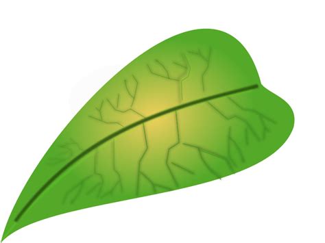 green leaf - Openclipart