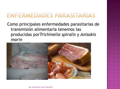 Enfermedades Parasitarias Ppt