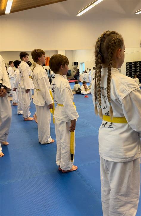 24 Lehrgang Rotkreuz Taekwondo für Kinder und Erwachsene Taekwondo