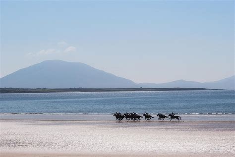 Horse racing on the beach Photograph by Frank Fullard - Fine Art America