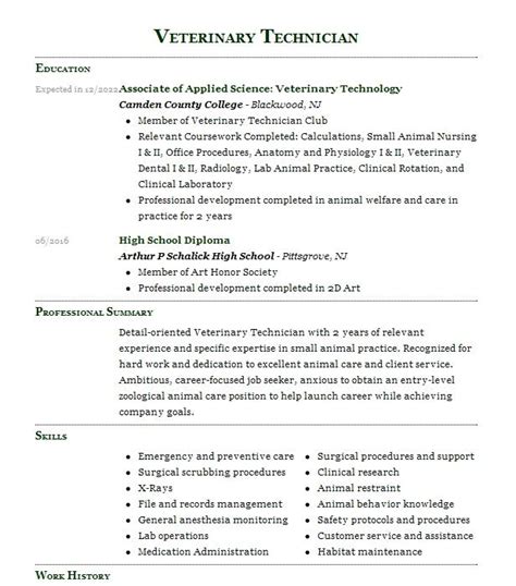 Veterinary Technician Resume Example