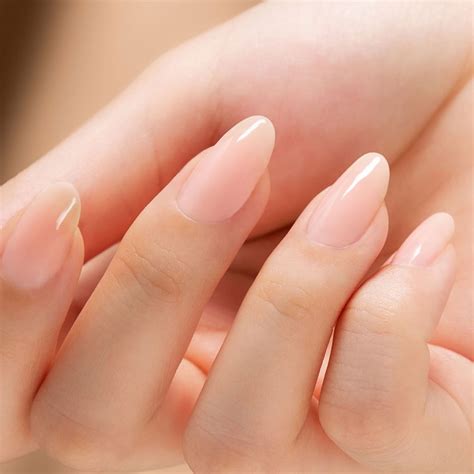 Sheer Nude Pink Vegan Nail Polish French Classic Manicure Nails Chiffon Etsy