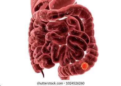 Human Brain Wrapped Shrink Wrap Plastic Stock Photo 1678274539