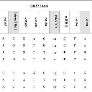 Haplotype Tagging SNPs Haplotypes N 425 Occurring With A Frequency