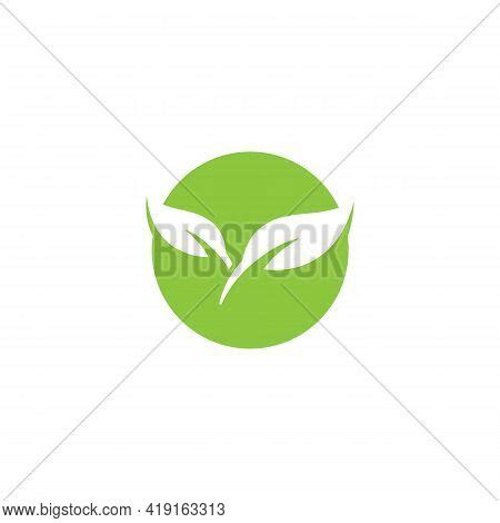 Eco Icon Green Leaf Vector Photo Free Trial Bigstock