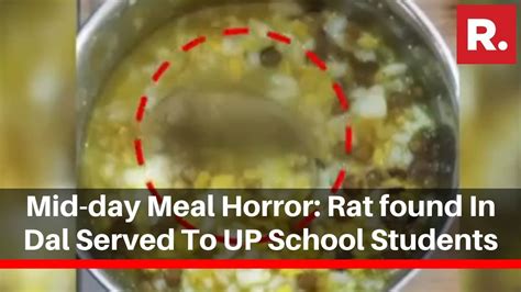 Mid Day Meal Horror Rat Found In Dal Served To Up School Students 9