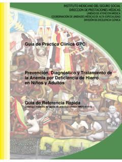 Guía de Práctica Clínica GPC Prevención Tratamiento de la anemia