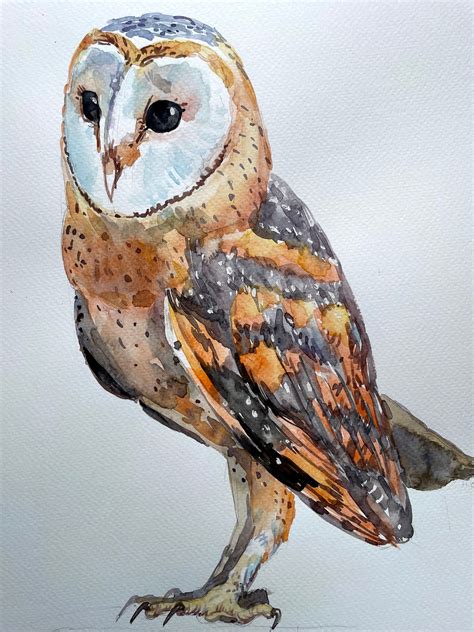 Original Bird Art Barn Owl Watercolor Painting Original Wall Etsy