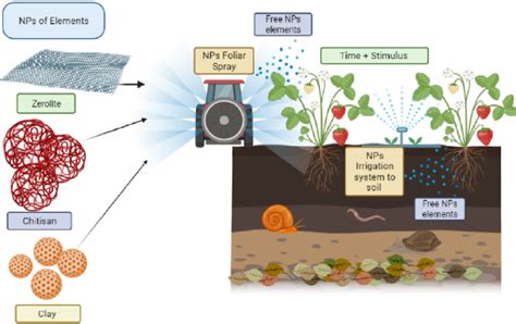 Application Of Nano Fertilizers In Crop Production The Illustration Download Scientific