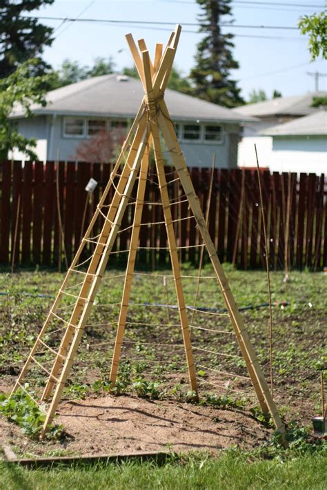 Sweet Sassy Studio Bean Tipi