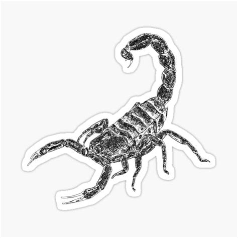 Scorpion Sticker For Sale By Ahmedazmei Redbubble